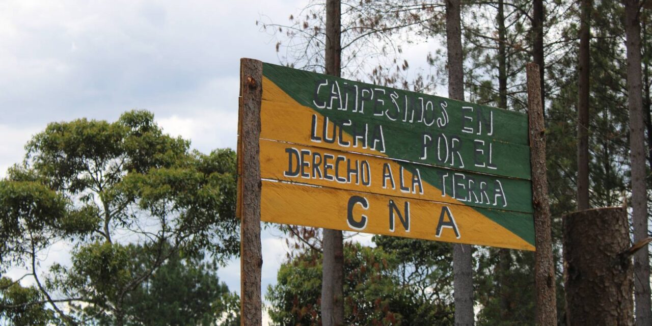 Denuncia Pública: Procesos de recuperación de tierras del Cauca están siendo agredidos