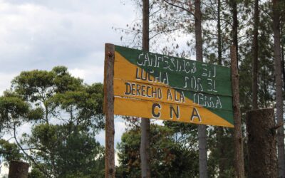 Denuncia Pública: Procesos de recuperación de tierras del Cauca están siendo agredidos