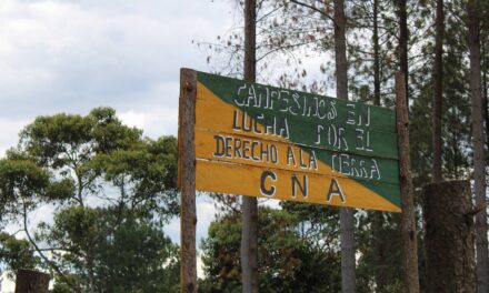 Denuncia Pública: Procesos de recuperación de tierras del Cauca están siendo agredidos