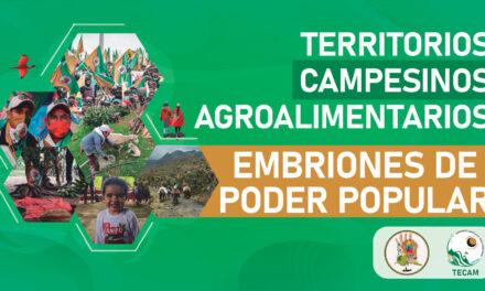 Pasos para la formalización de los TECAM ante la Agencia Nacional de Tierras