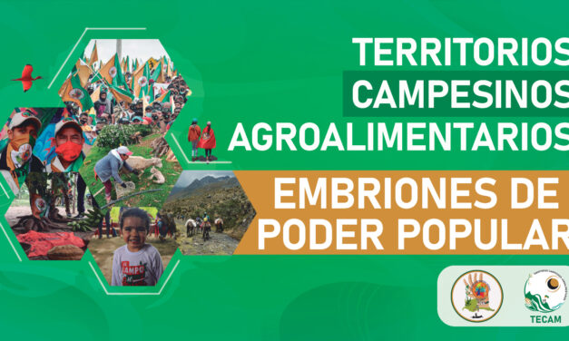 Pasos para la formalización de los TECAM ante la Agencia Nacional de Tierras