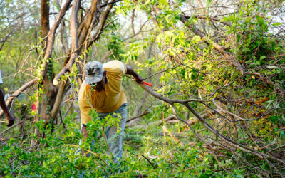 Respaldamos el proceso de recuperación de tierras de la Integración campesina del Cesar – ICC