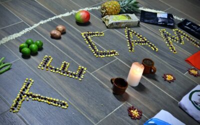 Declaración política del Encuentro Nacional de Territorios Campesinos Agroalimentarios
